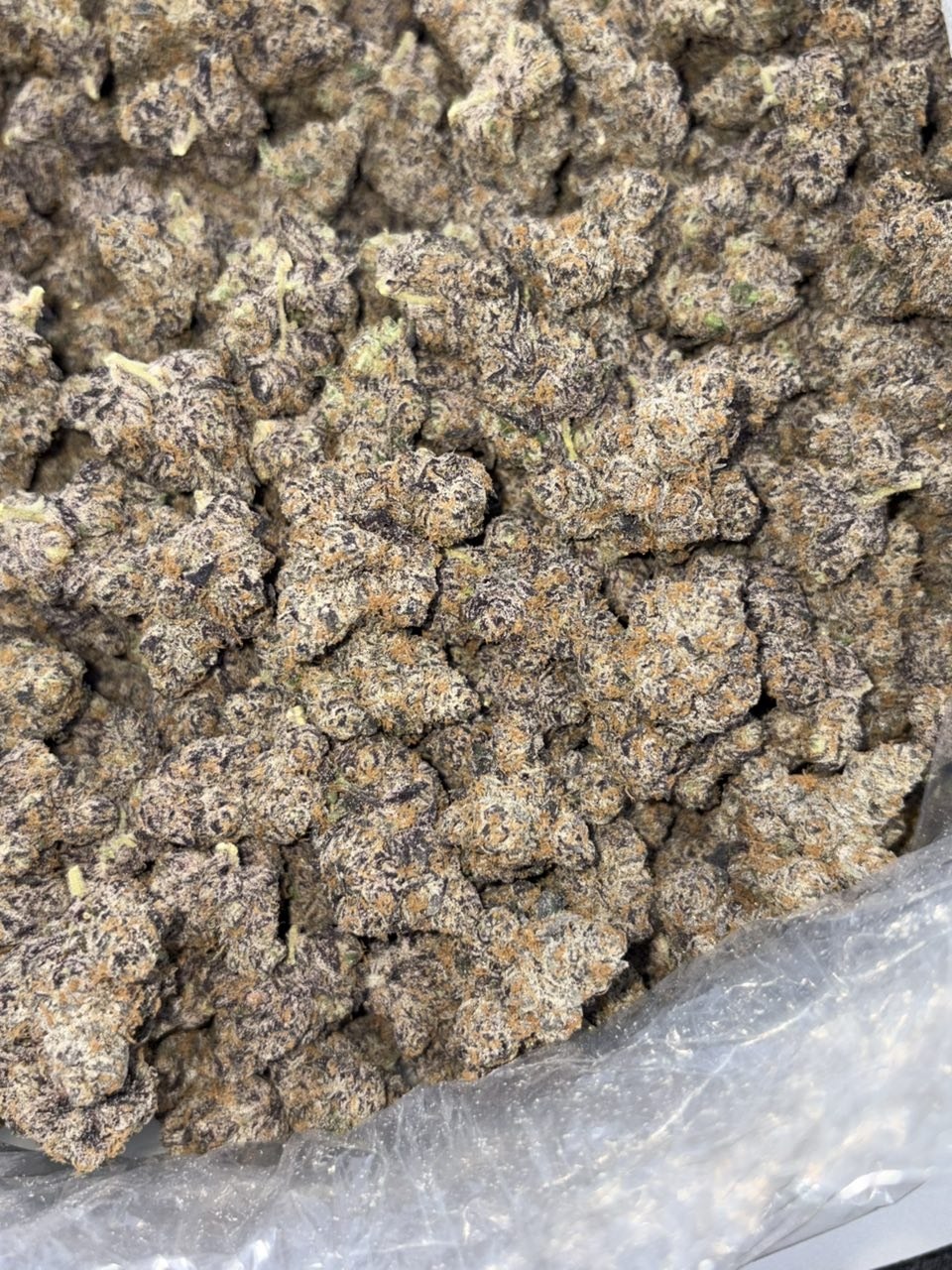 PURPLE PETRO