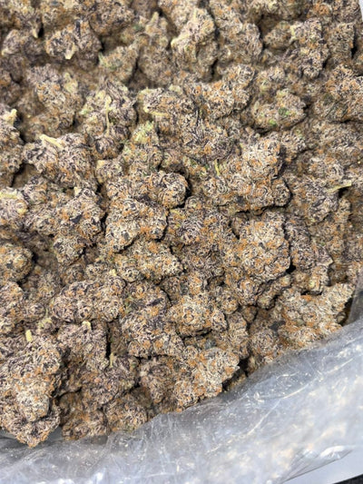 PURPLE PETRO