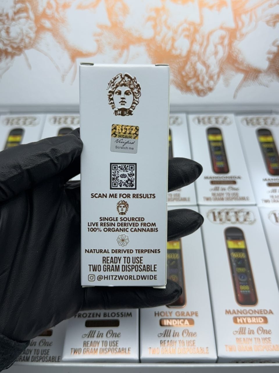 HITZ ZEUS SERIES 🏛️