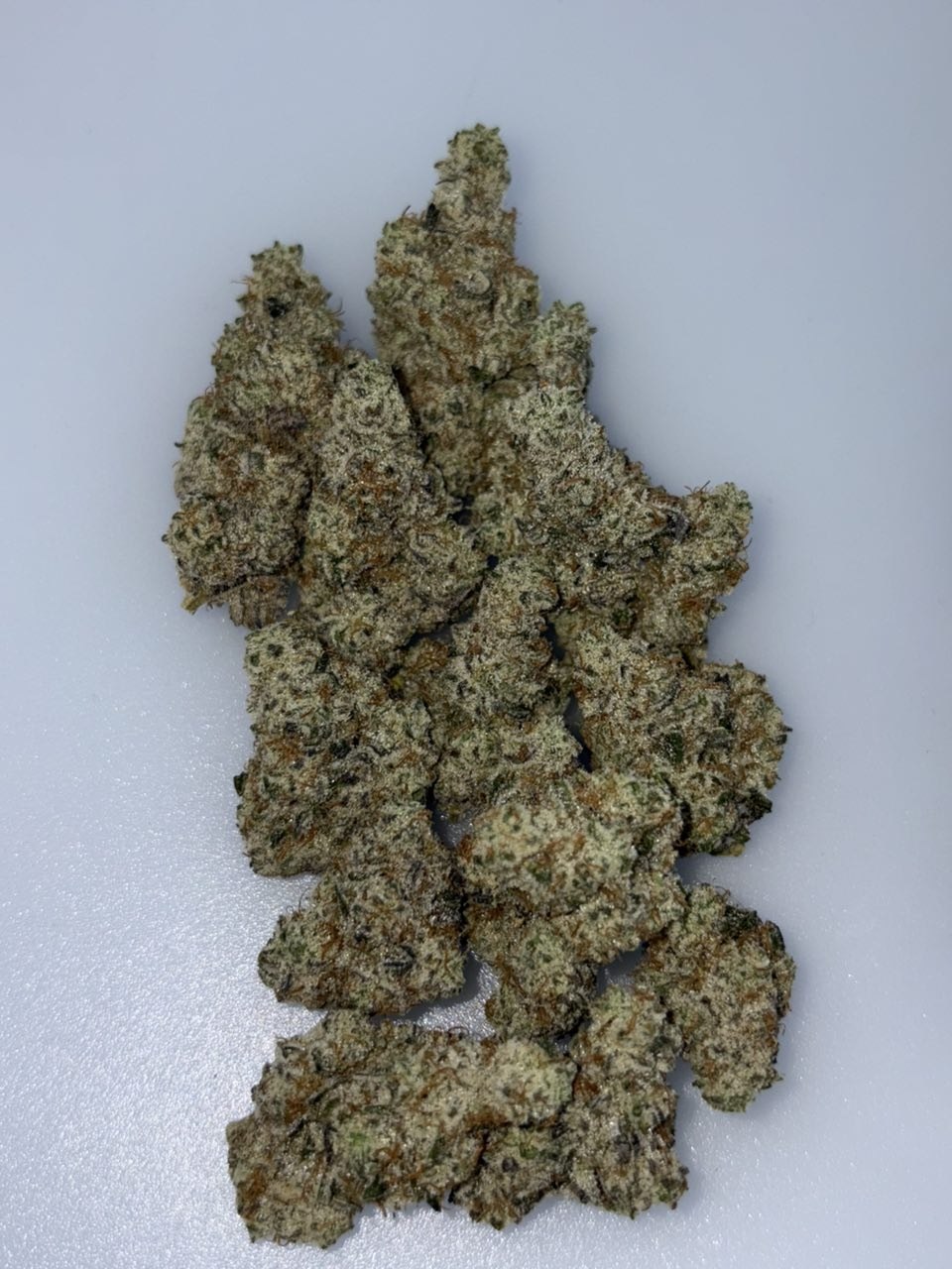 BUBBLEGUM BOMB POPZ