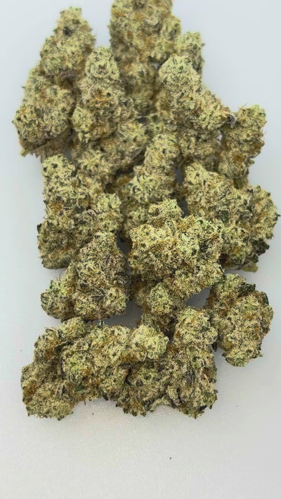 BUBBLEGUM BOMB POPZ