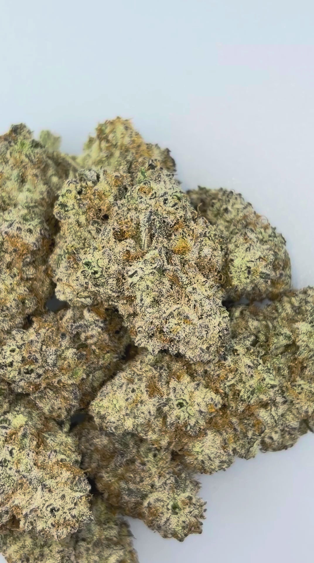 Load video: SOUR PATCH