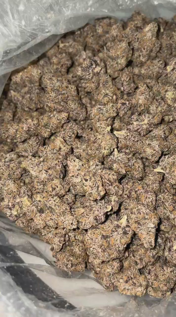 Load video: PURPLE PETRO